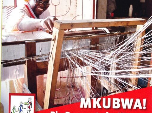 TANZANIA – Promozione dell’imprenditoria femminile: Incubatore virtuale di imprese (TVBI) “MKUBWA”