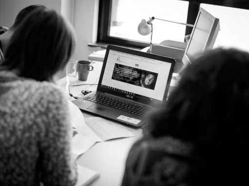 EUROPA – Insieme per porre fine alle mutilazioni genitali femminili (MGF): piattaforma web europea sulle MGF per la formazione di professionisti