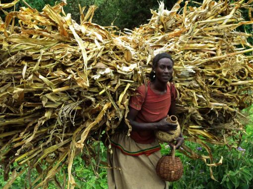 SENEGAL- ETIOPIA. “PONTI: inclusione sociale ed economica, giovani e donne, innovazione e diaspore”
