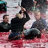 Riti di passaggio: il caso danese