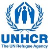 UNHCR Rapporto 2013